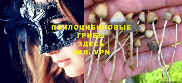 PSILOCYBIN Елабуга