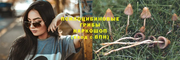 ALPHA PVP Куйбышев