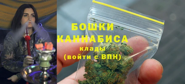 PSILOCYBIN Елабуга