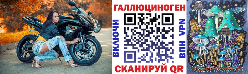 где найти наркотики  Кстово  Галлюциногенные грибы мицелий 