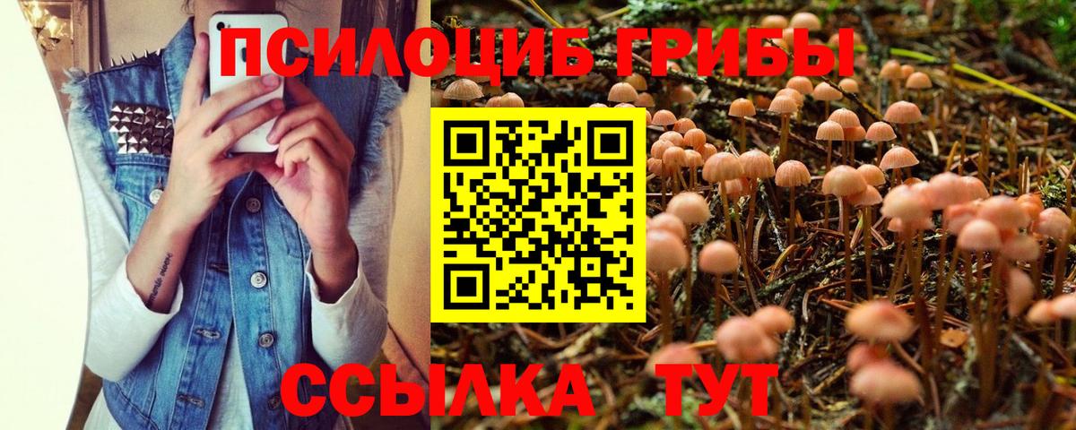 Галлюциногенные грибы мухоморы  Галлюциногенные грибы мицелий  Вход с VPN  Кстово 