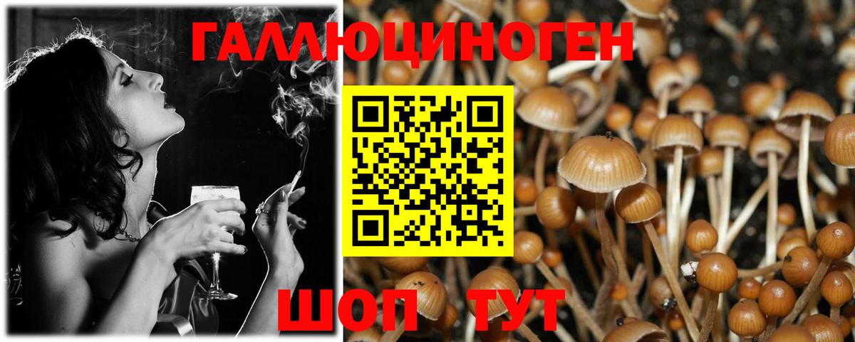 Псилоцибиновые грибы MAGIC MUSHROOMS Кстово