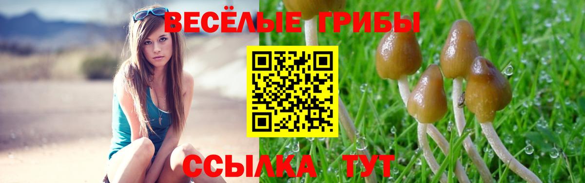 Псилоцибиновые грибы ЛСД Кстово