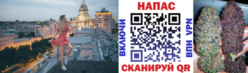 darknet как зайти  купить   Кстово  Шишки марихуана тримм 